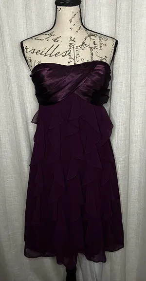 Women's Size 6 Xscape by Joanna Chen Strapless Satin Chiffon Dress in Eggplant thumbnail 1