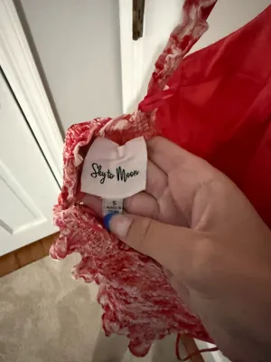 Flower Sky to Moon Dress thumbnail 2