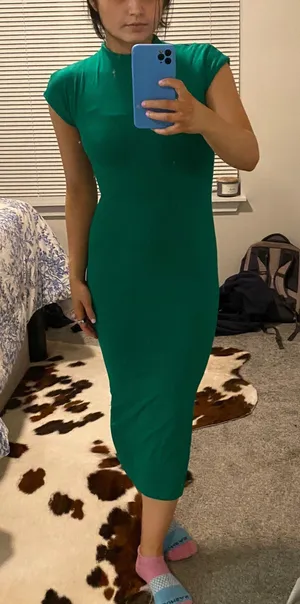 Vestique Silhouette Dress thumbnail 1