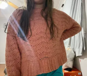 American Eagle Sweater thumbnail 1
