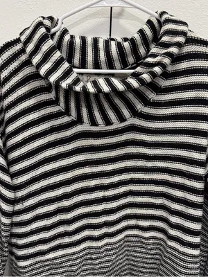 Anthropologie Field Flower Black and White Striped Turtleneck Sweater thumbnail 5