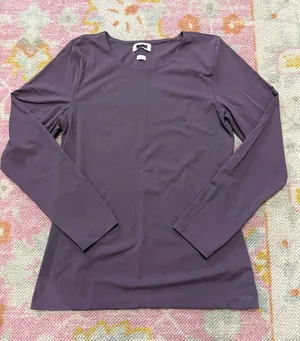 Aritzia Original Contour Splendid Crew Longsleeve  thumbnail 1