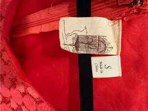 Anthropologie Birdcage Francesca’s Collection Coral Lace Fit & Flare Dress S thumbnail 5