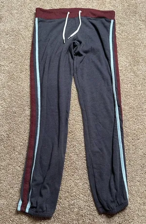 Monrow‎ Side Stripe Sweatpants thumbnail 1