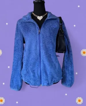The North Face Gorpcore Outdoor Blue Fleece Zip Up Jacket Size Medium 💙 thumbnail 1