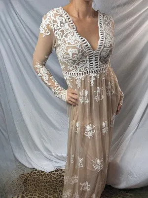 Forever 21 Y2K Nude Long Sleeve Embroidered Lace Maxi Dress thumbnail 2
