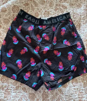 American Eagle Boxer Shorts thumbnail 1