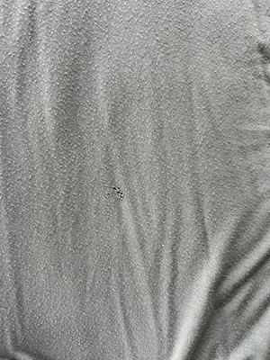 Hollister Tee thumbnail 4