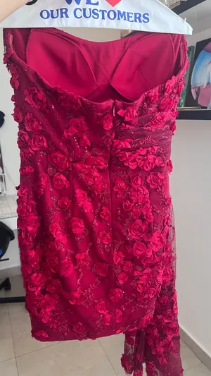 Red Gala Style Mini Dress | Nativa Boutique thumbnail 2