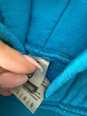 Alpha Phi Alabama Hoodie Blue Size L thumbnail 2