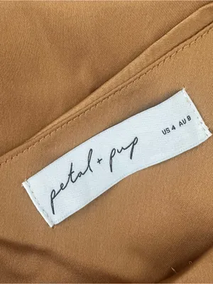 Petal and Pup Nadia Satin Maxi Dress thumbnail 9