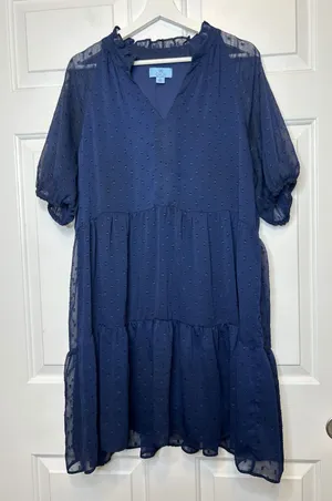 CeCe‎ V-Neck Swiss Dot Short Sleeve Baby Doll Dress XL thumbnail 1