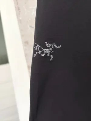 Arc'teryx Gamma LT Pants Black Size 10 thumbnail 4