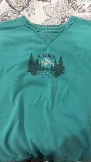 American Eagle Sweatshirt thumbnail 1