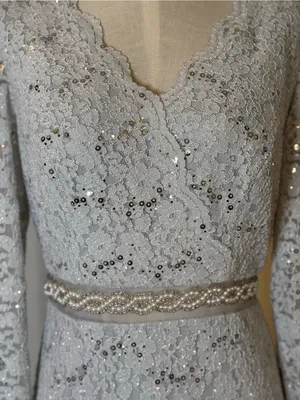 Alex Evenings Silver Grey Lace Long-Sleeve Evening Gown Sz 4 thumbnail 4