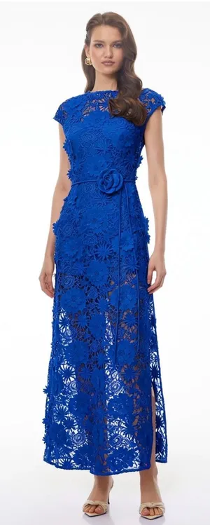 Miss Rosier Jochebed Blue Floral Appliqué Maxi Dress with Cut-Outs NWT thumbnail 1