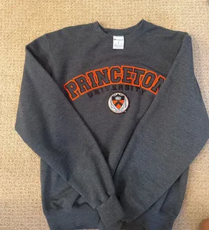 Champion Sweatshirt Crewneck Princeton Pullover thumbnail 1