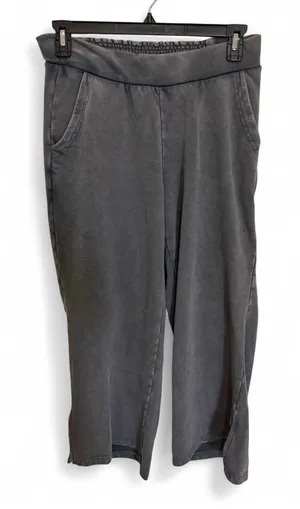 Daily Practice by Anthropologie Charcoal Gray Wide Leg Pull-On Sweats Small thumbnail 1