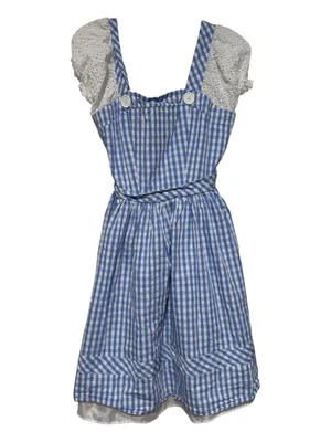 Wizard of Oz Dorothy Gingham Costume Dress Women’s Size S thumbnail 3