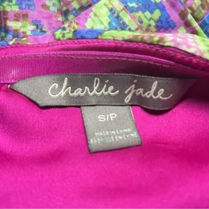 Charlie Jade‎ Anthropologie Small Ginger Dress Multicolored Silk Blend Pockets thumbnail 10