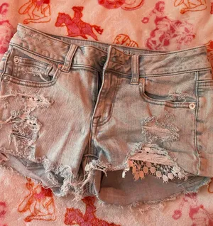 American Eagle Shorts thumbnail 1