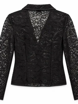 Aritzia Babaton Lace Blouse Womens XS Black Sheer Long Sleeve Collared Top thumbnail 2