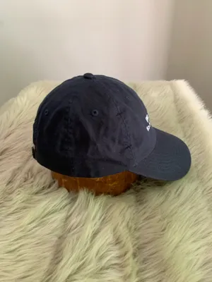 This is going to ruin the tour dad hat thumbnail 3