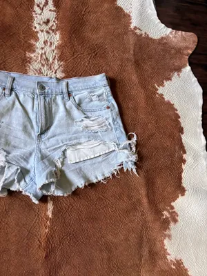 American Eagle strigid 90's Boyfriend shorts size 10 thumbnail 2