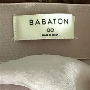 Babaton from Aritzia Size Extra Small Women's Teen Girl Champagne Satiny Skirt thumbnail 5