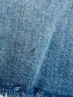 Aritzia Denim Forum 50s Arlo Mid Thigh Denim shorts. 28 thumbnail 6