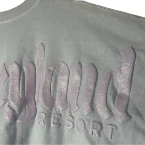 Disney Parks Disneyland Resort Spirit Jersey Lavender Glitter Size Large thumbnail 8