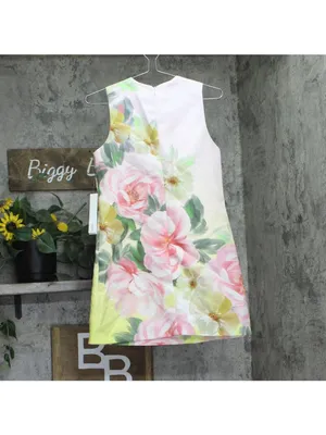 NWT Aqua Placed Floral Shift Mini Dress IDO14626 Pink Multi XS thumbnail 3