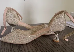 Elegant Champagne Mesh Pointed-Toe D'Orsay Heels with Ankle Strap thumbnail 1