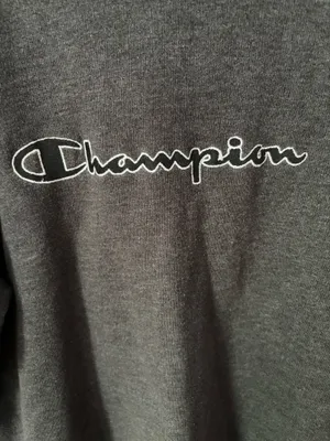 Champion Grey Striped Hoodie thumbnail 2