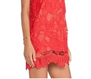 Lovers + Friends Caspian Lace shift dress▪️size S thumbnail 10