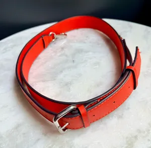 Red Leather Adjustable Crossbody Strap Replacement Silver
Hardware 44"-52" thumbnail 1
