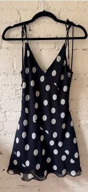 Aritzia Dress thumbnail 1