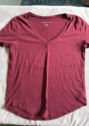 American Eagle V-Neck thumbnail 1