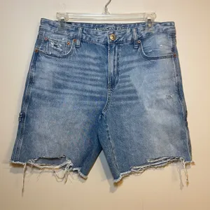 American Eagle Jean‎ Shorts Jorts Low Rise Baggy Carpenter Blue Denim Size 6 thumbnail 1