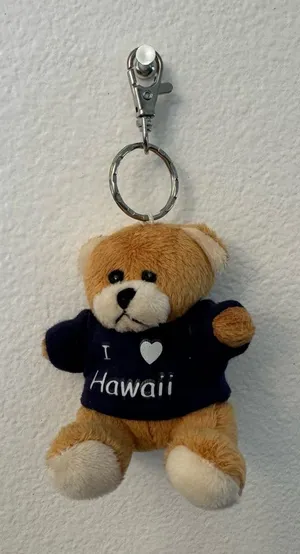 Pink Plush Bear Keychain “I ❤️ Hawaii” – Hawaiian Souvenir thumbnail 1