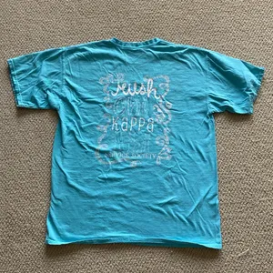 Comfort Colors Chickadees T-Shirt Light Blue Unisex Size Large Rush Chi Kappa thumbnail 6