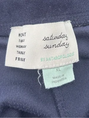 Anthropologie Saturday Sunday merida velour velvet jogger thumbnail 6