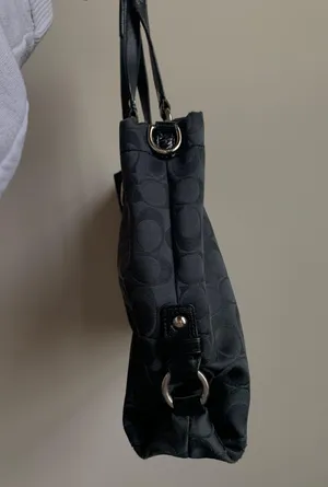 Black Purse thumbnail 3