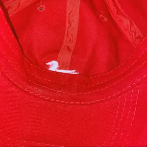 Southern marsh hat thumbnail 5