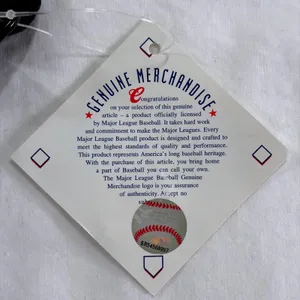 New‎ York Mets MLB Jersey Mini Purse Pinstripe Crossbody Bag Pro-FAN-ity METS thumbnail 8