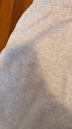 Aritzia Light Grey Sweatpants thumbnail 4