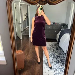 Ann Taylor Plum Velvet Dress thumbnail 2