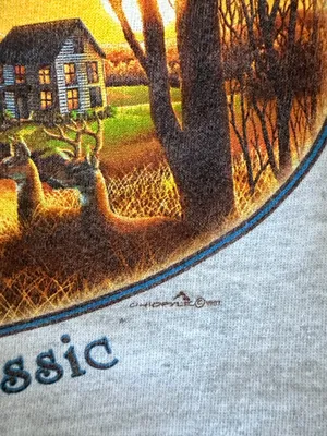 Vintage Roanoke Virginia crew neck Gray Size XL thumbnail 3