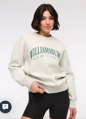 Abercrombie YPB Williamsburg Brooklyn New York Sweatshirt Size S thumbnail 1