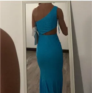Ashley Lauren Prom Dress thumbnail 4